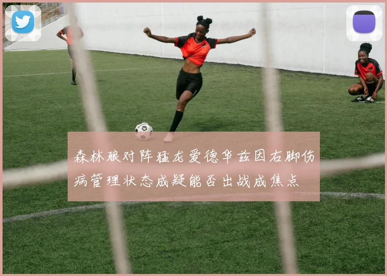 森林狼对阵猛龙爱德华兹因右脚伤病管理状态成疑能否出战成焦点