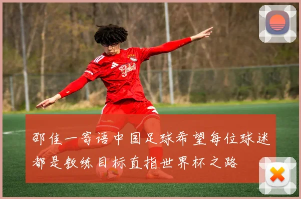 邵佳一寄语中国足球希望每位球迷都是教练目标直指世界杯之路