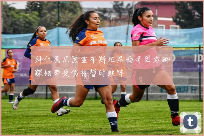 拜仁慕尼黑宣布斯坦尼西奇因右脚踝韧带受伤将暂时缺阵