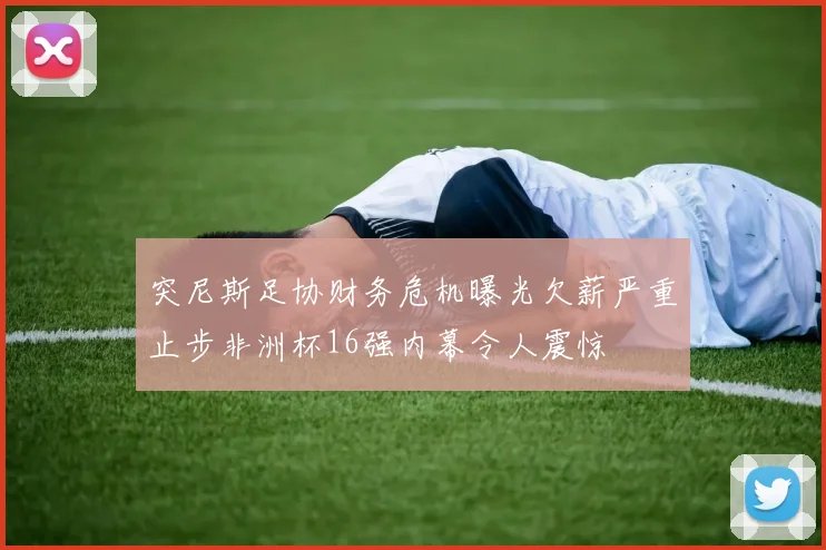 突尼斯足协财务危机曝光欠薪严重止步非洲杯16强内幕令人震惊